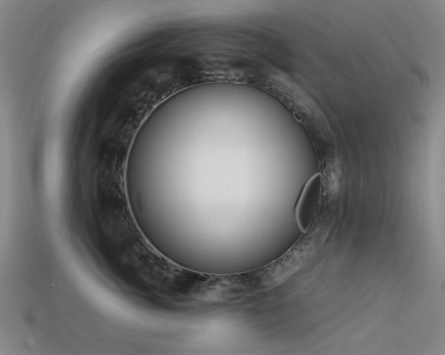 X0000113220764200909101150