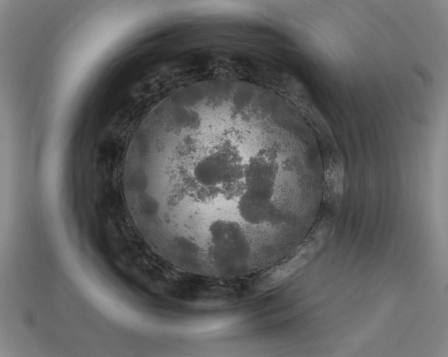 X0000113220765200909101150