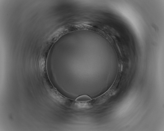 X0000113220767200909101150