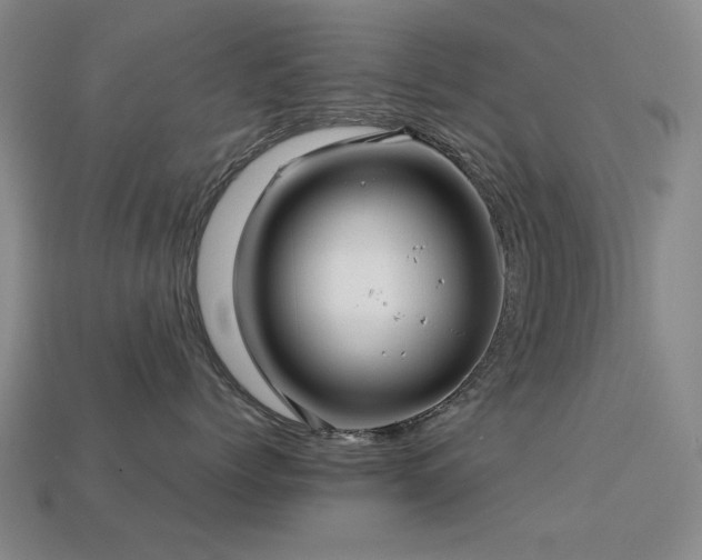 X0000113220768200909101150
