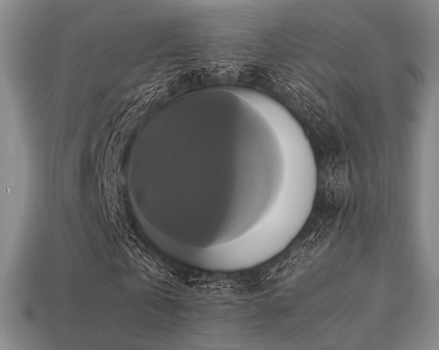 X0000113220769200909101149