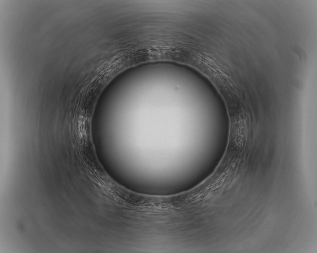 X0000113220770200909101149