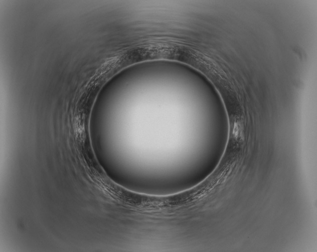X0000113220771200909101149