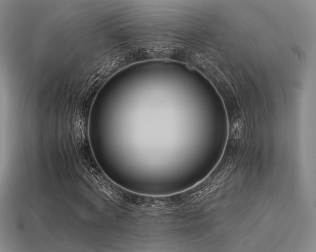X0000113220772200909101149