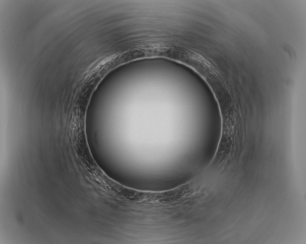 X0000113220773200909101149