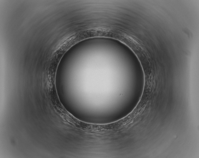 X0000113220774200909101149