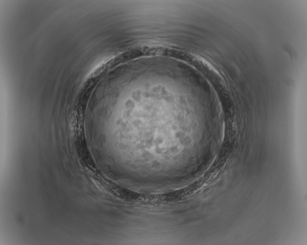 X0000113220775200909101149