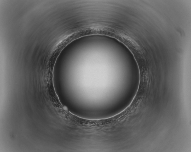 X0000113220776200909101149