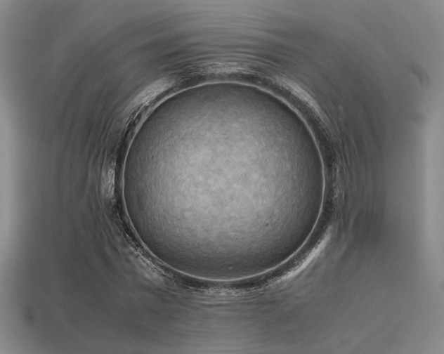 X0000113220777200909101149