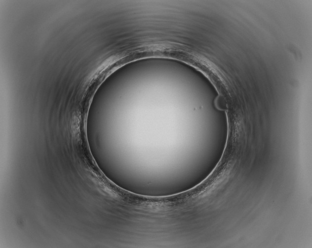 X0000113220778200909101149