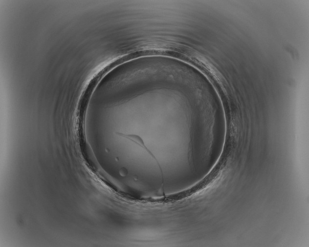 X0000113220779200909101149