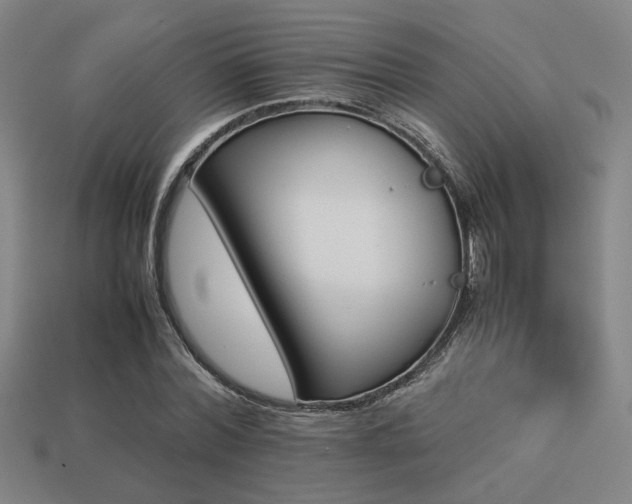 X0000113220780200909101149