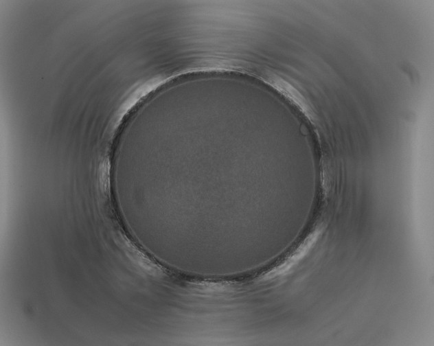 X0000113220781200909101149