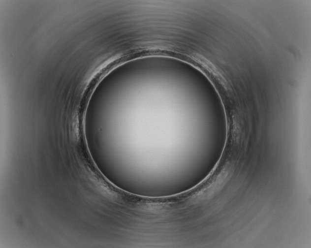 X0000113220782200909101149
