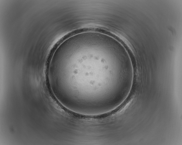 X0000113220783200909101149