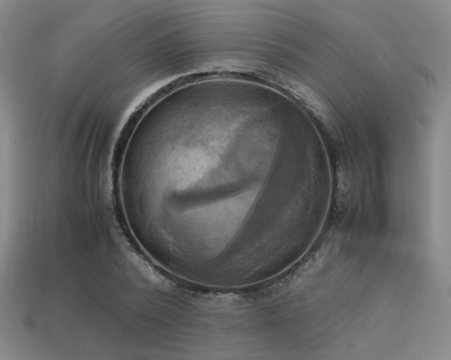 X0000113220784200909101149