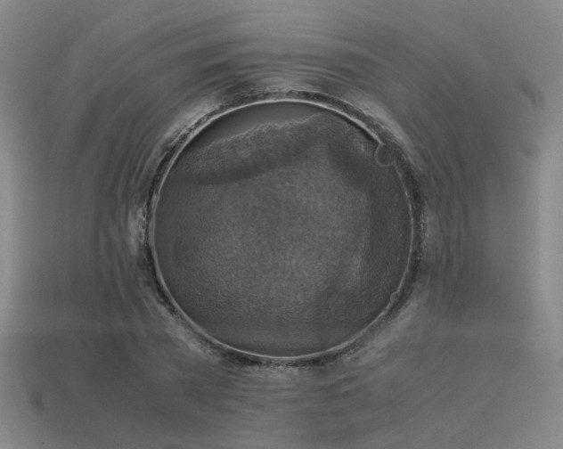 X0000113220785200909101149