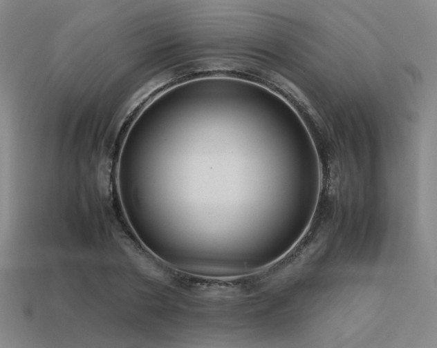 X0000113220786200909101149