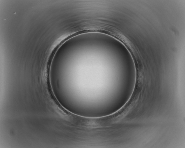 X0000113220787200909101149