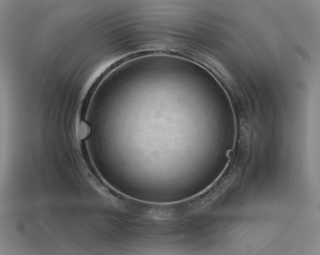 X0000113220788200909101149