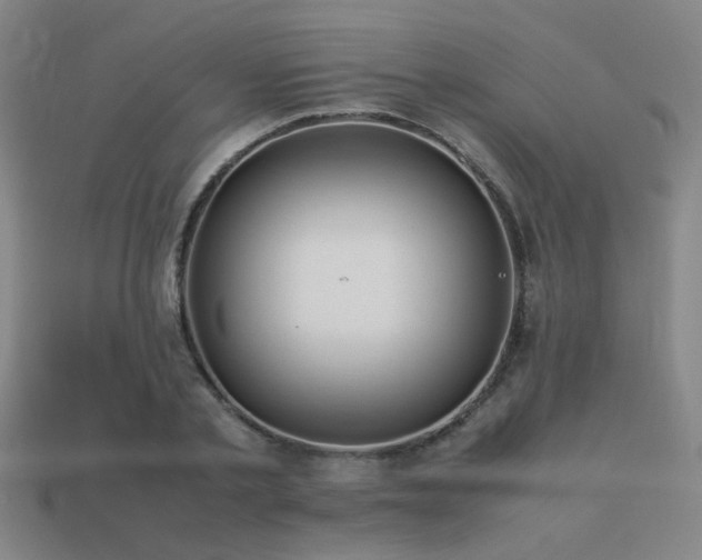 X0000113220789200909101149