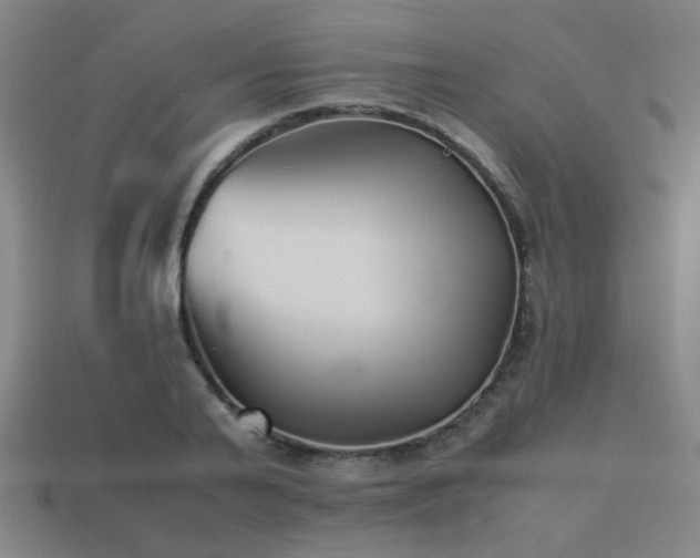 X0000113220791200909101149