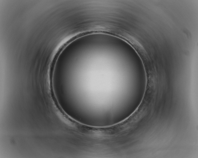 X0000113220792200909101149
