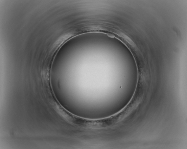 X0000113220793200909101149