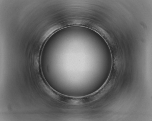 X0000113220794200909101149