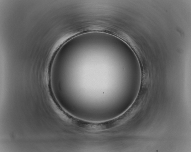 X0000113220795200909101149