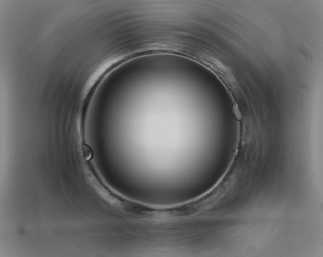 X0000113220796200909101149