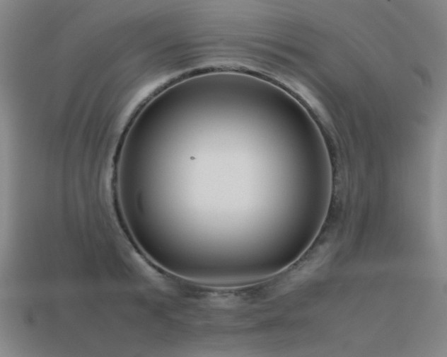 X0000113220799200909101149