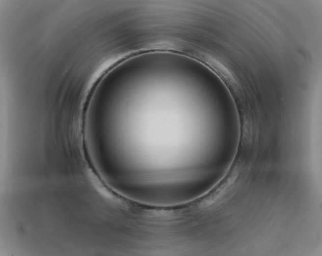 X0000113220800200909101149
