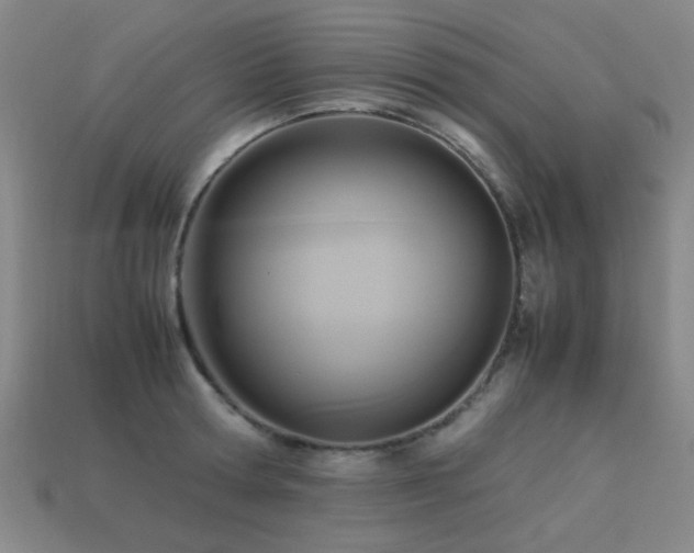 X0000113220802200909101149