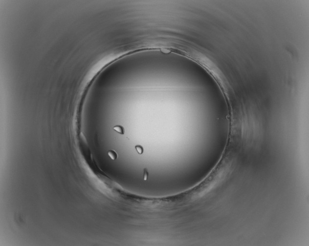X0000113220803200909101149