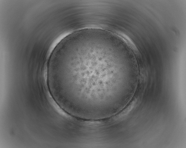 X0000113220804200909101149