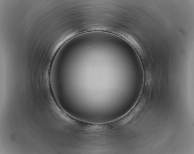 X0000113220806200909101149
