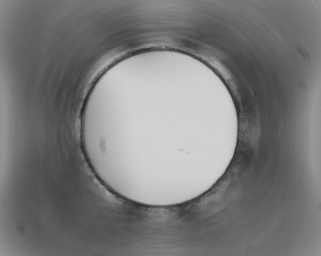 X0000113220807200909101149