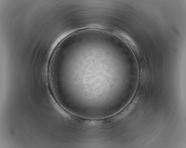 X0000113220808200909101149