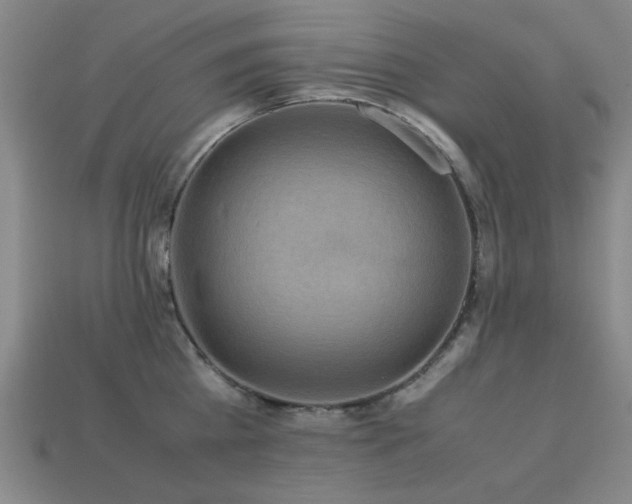 X0000113220809200909101149