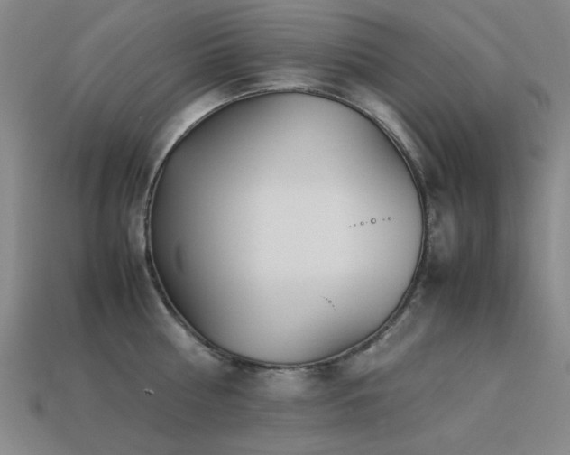 X0000113220810200909101149