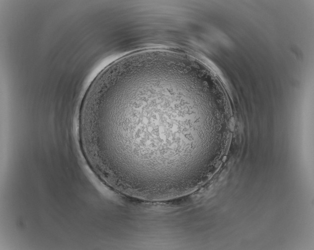 X0000113220811200909101149