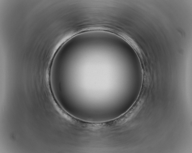 X0000113220813200909101149