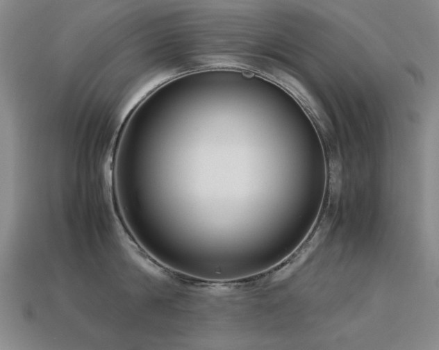 X0000113220814200909101149