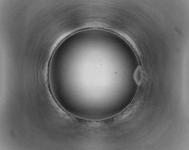 X0000113220815200909101149