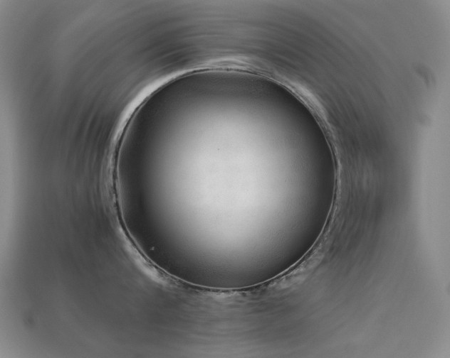 X0000113220816200909101149