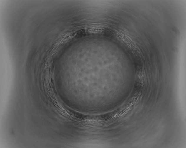X0000113220817200909101148