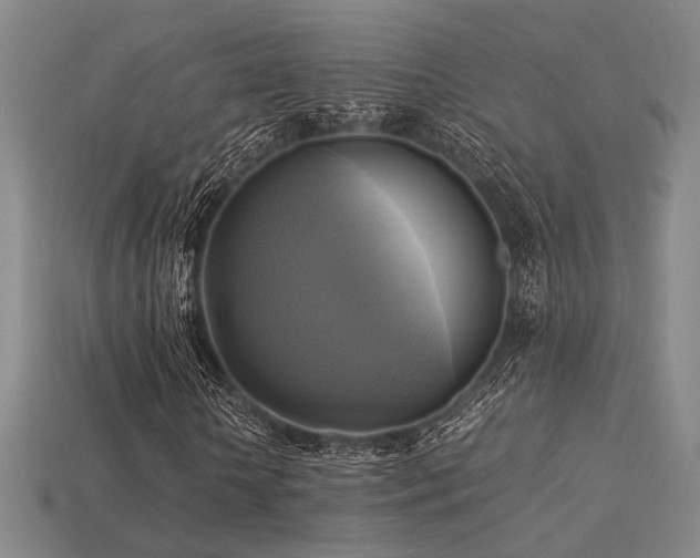 X0000113220818200909101148