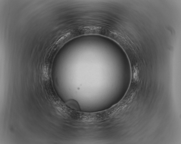 X0000113220819200909101148