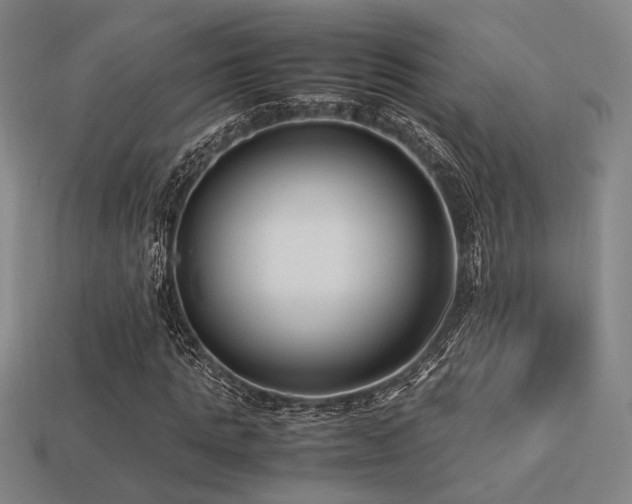 X0000113220821200909101148